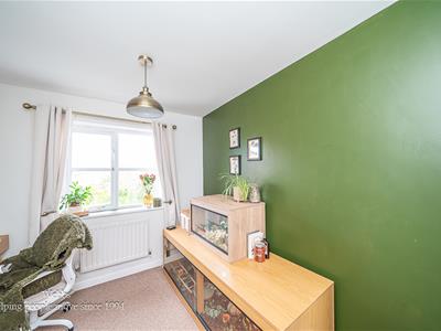 Picture 25